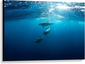 Canvas  - Dolfijnen in de Blauwe Zee - 100x75cm Foto op Canvas Schilderij (Wanddecoratie op Canvas)