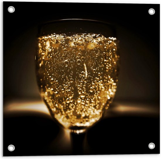 Tuinposter – Gouden Bubbels in Glas - 50x50cm Foto op Tuinposter  (wanddecoratie voor buiten en binnen)