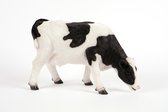 Grazende  Zwart wittte koe