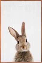 JUNIQE - Poster met kunststof lijst Baby konijn kleurenfoto -20x30