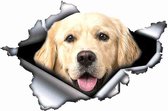 Golden Retriever 3D sticker/auto/camper/scooter/boot/muur/koelkast/laptop