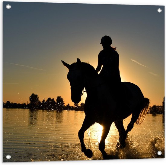 Tuinposter – Paard met Ruiter in de Zee - 80x80cm Foto op Tuinposter  (wanddecoratie voor buiten en binnen)