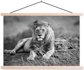 Sweet Living Poster - Leeuw - 90 X 150 Cm - Zwart En Wit