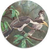 Dibond Wandcirkel - Getekende Vogels op Takken - 100x100cm Foto op Aluminium Wandcirkel (met ophangsysteem)