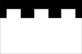 Vlag gemeente Zeist 150x225 cm