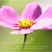 Kaart met envelop - gefeliciteerd bloem - Bijbel - Christelijk - Majestic Ally - 6 stuks