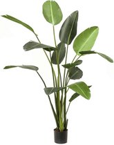 Strelitzia XL kunstplant