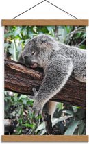 Schoolplaat – Luie Koala op Boomstam - 30x40cm Foto op Textielposter (Wanddecoratie op Schoolplaat)