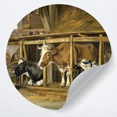Muurcirkel koeien schilderij | muurdecoratie behangcirkel | woonkamer accessoires