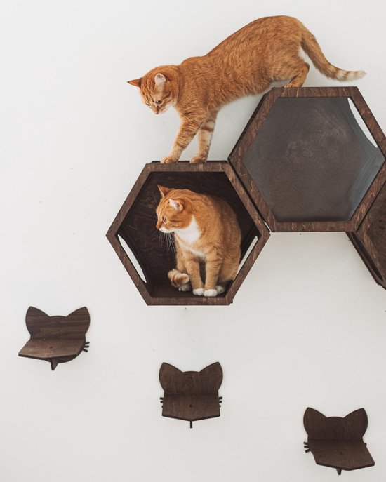 ETW Katten plank - houten wand decoratie - katten kerstcadeau - katten  speelgoed | bol.com
