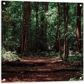 Tuinposter – Donkere Bomen - 80x80cm Foto op Tuinposter  (wanddecoratie voor buiten en binnen)