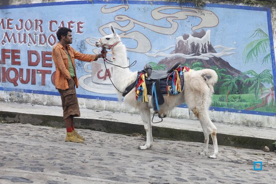 Man met oranje jas en een lama met een zadel, bij een muurschildering.