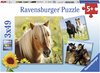 Ravensburger puzzel Schattige Pony's - 3x49 stukjes - kinderpuzzel