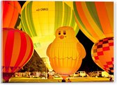 Acrylglas - Luchtballonnen met Eend Luchtballon - 40x30cm Foto op Acrylglas (Met Ophangsysteem)