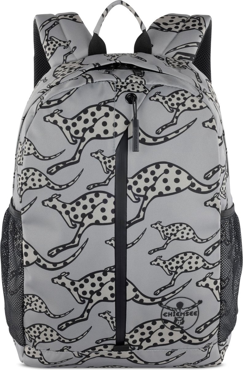 CHIEMSEE Vrije tijd rugzak Laptop rugzak met laptopvak Jump N Fly Backpack Grey Grijs