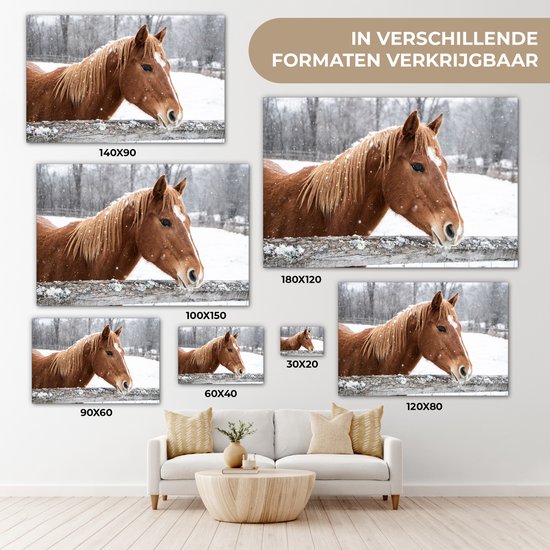 Tableau sur toile Cheval - Flocon de neige - Clôture - Hiver - 30x20 cm - Décoration murale