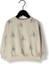 Rylee + Cru Sweatshirt Parrots Truien & Vesten Jongens - Sweater - Hoodie - Vest- Kit - Maat 92/98
