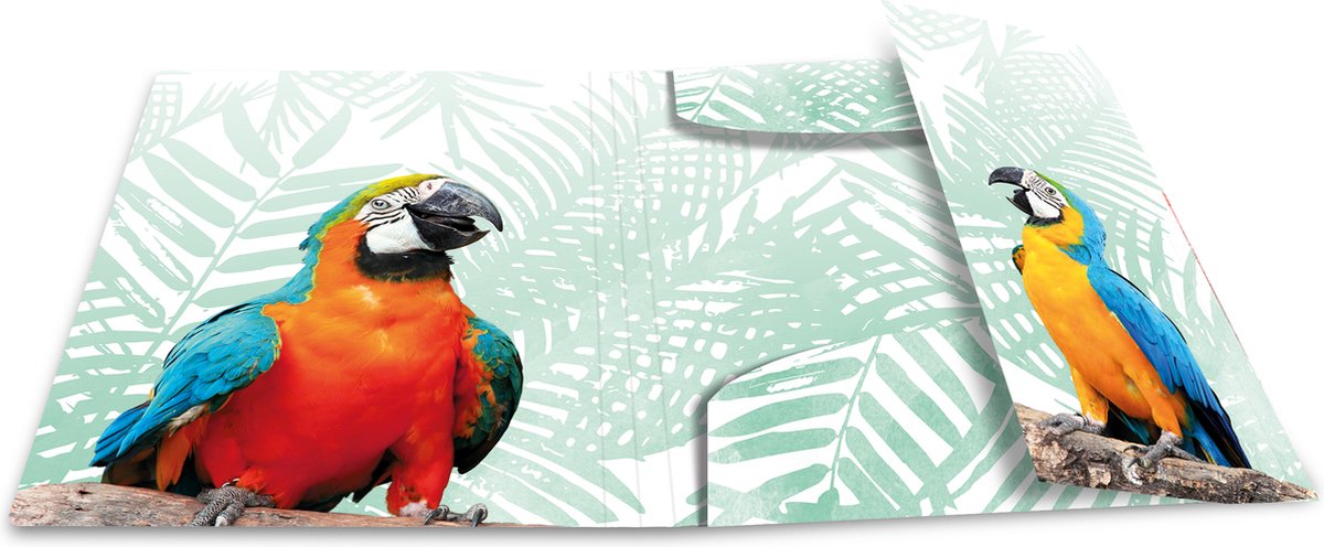 Elastomappen A4 PP Kliek tropische vogels