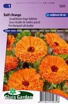 Sluis Garden - Goudsbloem Ball's Orange