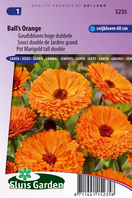 Sluis Garden - Goudsbloem Ball's Orange