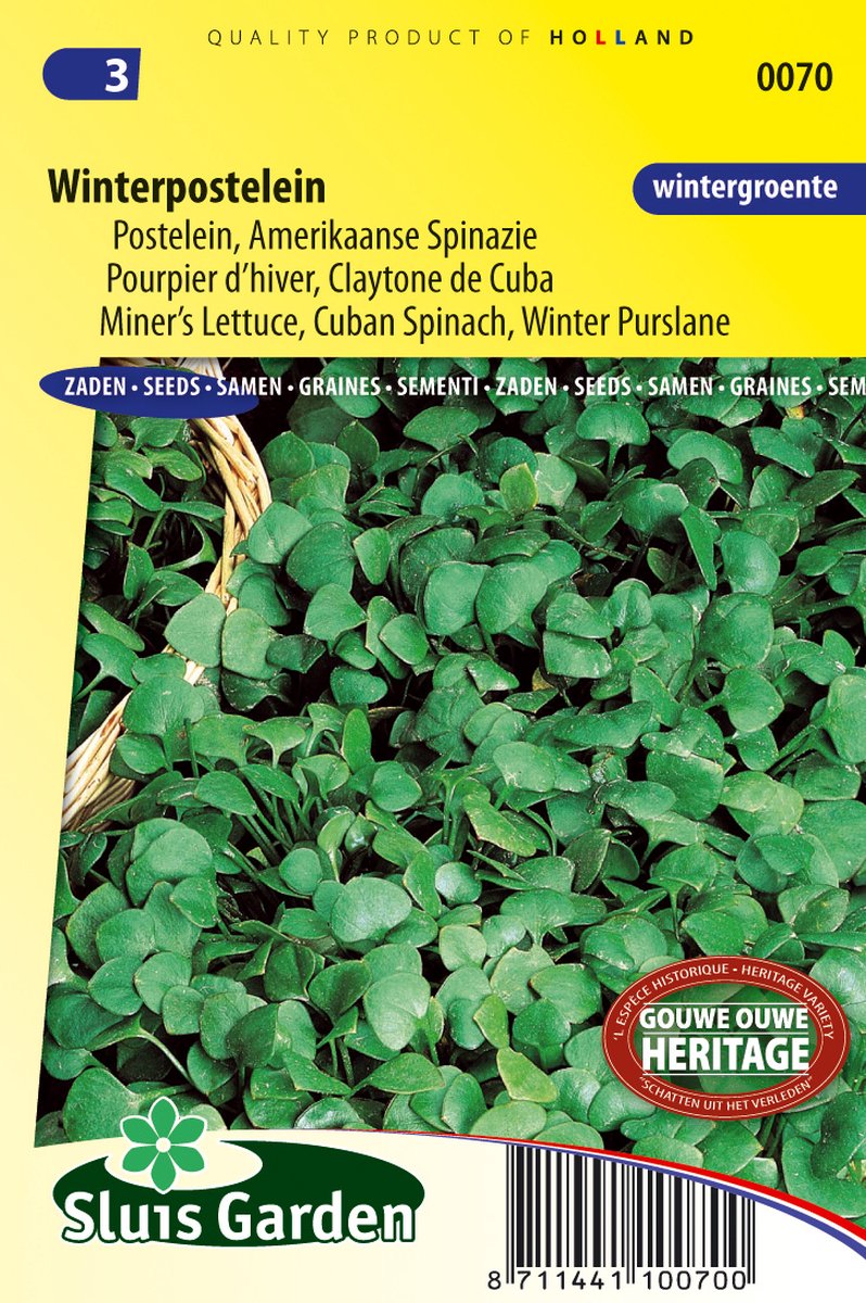 Sluis Garden - Winterpostelein (Claytonia perfoliata)