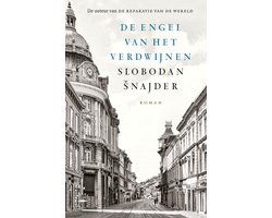 Omslag van De engel van het verdwijnen