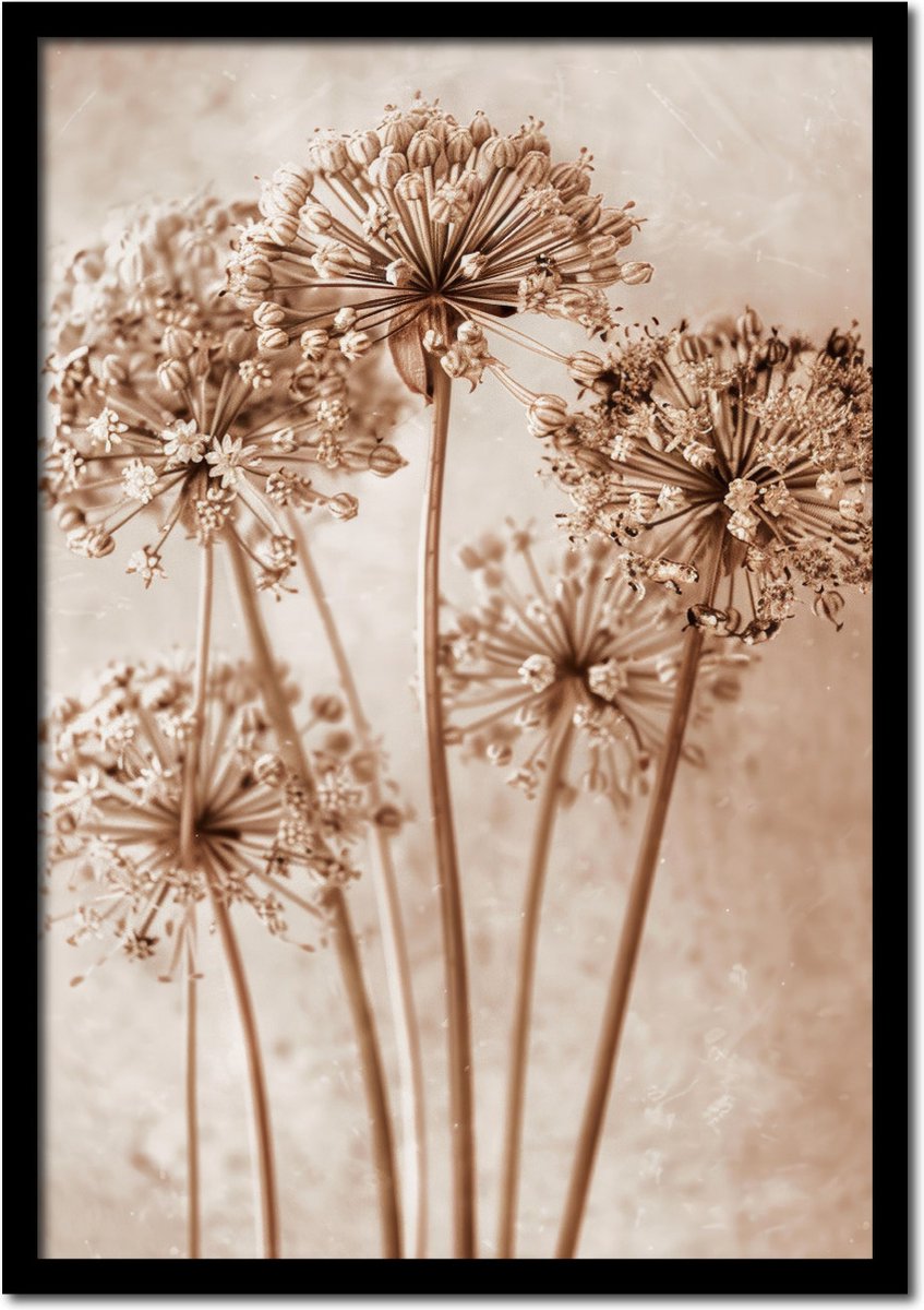 Plakkers Poster allium bloemen - 30cm x 40cm - vintage - woonkamer - slaapkamer - bloemen posters - goedkoop - muurposter - natuur - wanddecoratie Full-colour