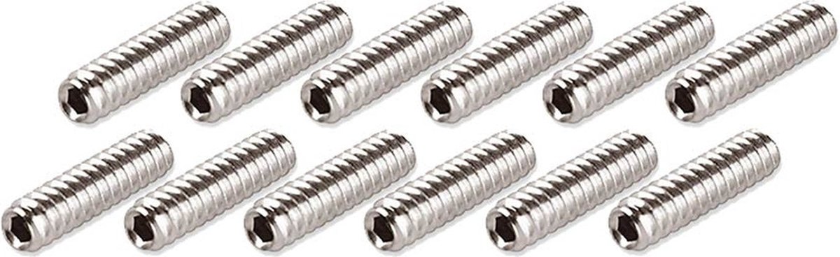 Boston SAI-10 Brugschroeven 2,8 x 10,0 mm (12 stuks)