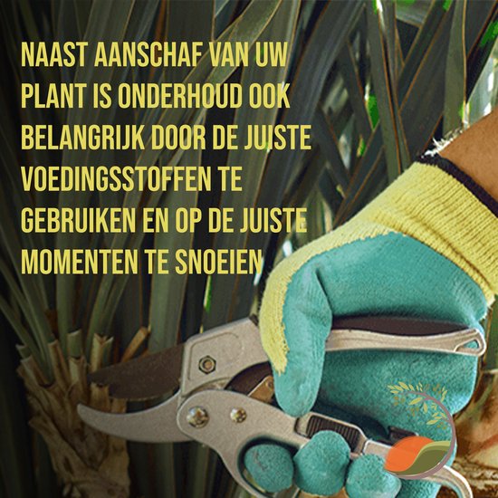 Hand met groene handschoen en snoeischaar, met tekst over plantenonderhoud.