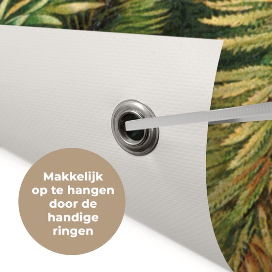 Posters de jardin extérieur Maîtres anciens - Art - Muscinae - Haeckel - 90x60 cm - Toile de jardin - Affiche extérieure