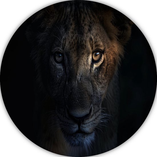 Tableau rond Lion - Tableau Animaux rond - Tableau Yeux - Décoration murale moderne - Panneau mural - Décoration murale murale cercle mural forex 50x50 cm
