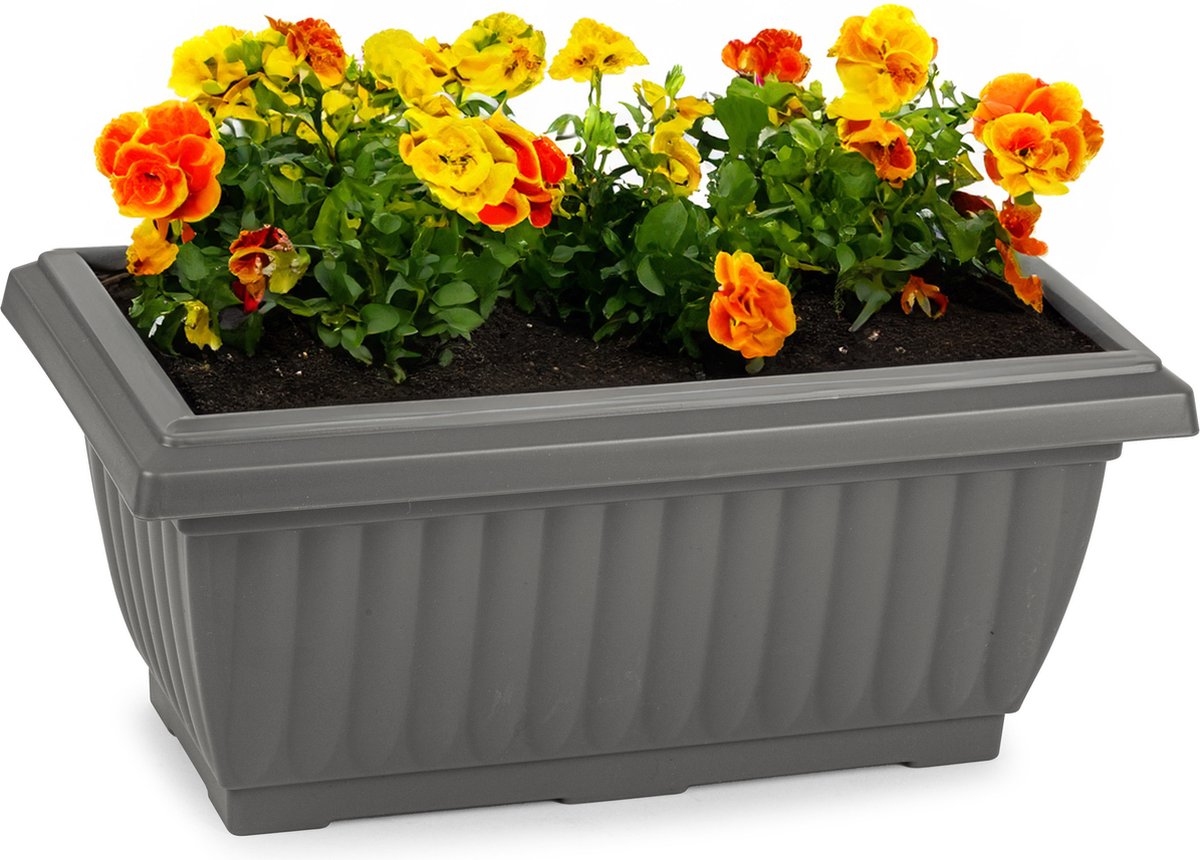 Plasticforte Plantenpot/bloempot Windsor - buiten - kunststof - antraciet - L33 x B18 x H15 cm - plantenbak - balkon/terras/tuin