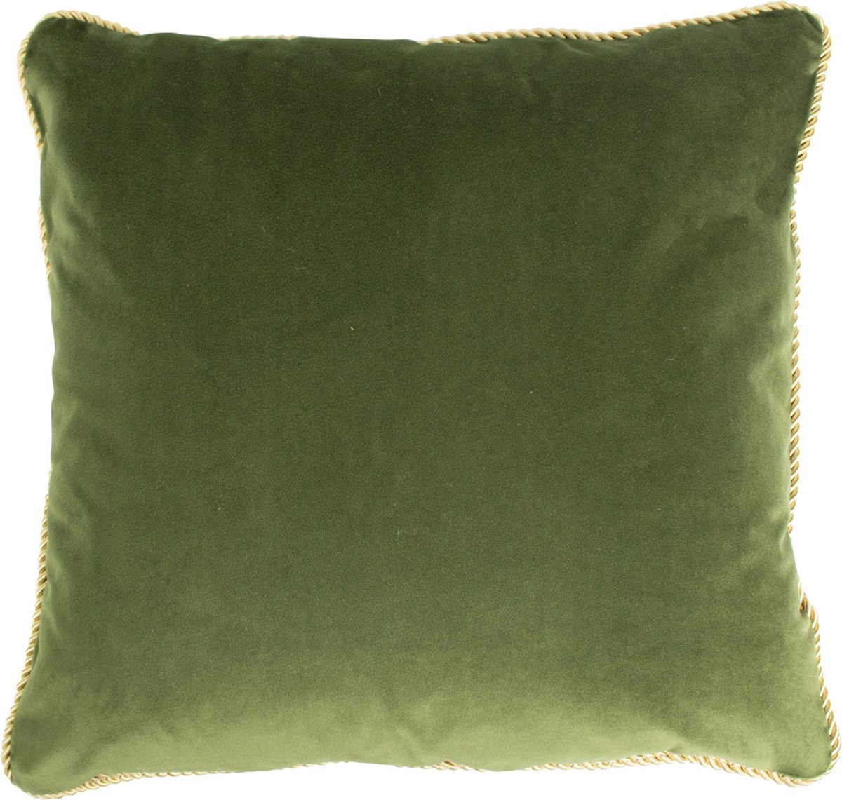 kussen fluweel goud appel groen 45x45cm