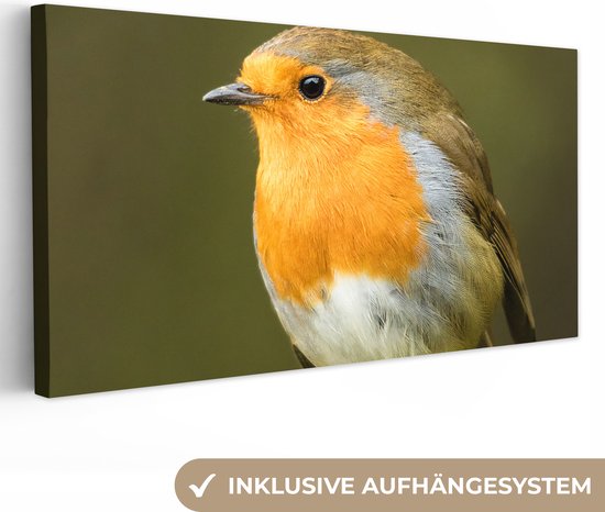 Tableau sur Toile Robin - Branche - Printemps - 160x80 cm - Décoration murale