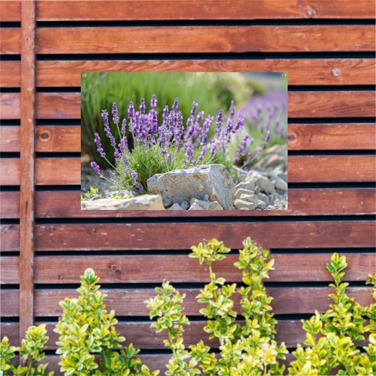Affiche jardin Lavande - Affiche plantes - Affiche jardin Rochers - Décoration murale murale jardin - Toile clôture - Tableau jardin affiche jardin 150x100 cm