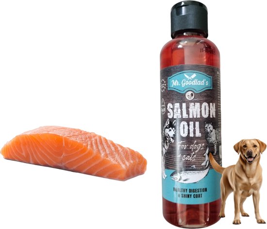 HAEST Steekhoedenset 15-Delig - Behendigheidsset Voor Honden, Paarden En Kinderen