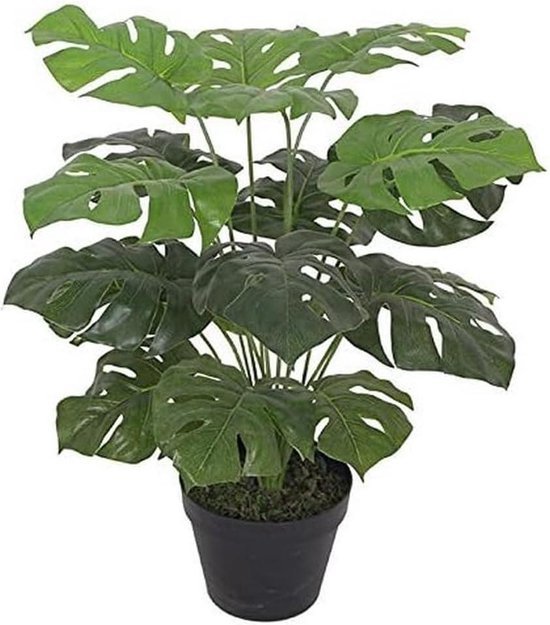 Prosperplast Kunststof Rato Rotan Bloempot/plantenpot Met Binnenpot Bruin 26 Cm Bloempotten Voor Binnen En Buiten