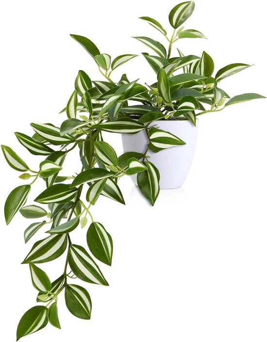 Hsyadazi Kunstplanten in pot, plastic planten, set van 2 Hsyadazi Kunstplanten in pot, plastic planten, set van 2