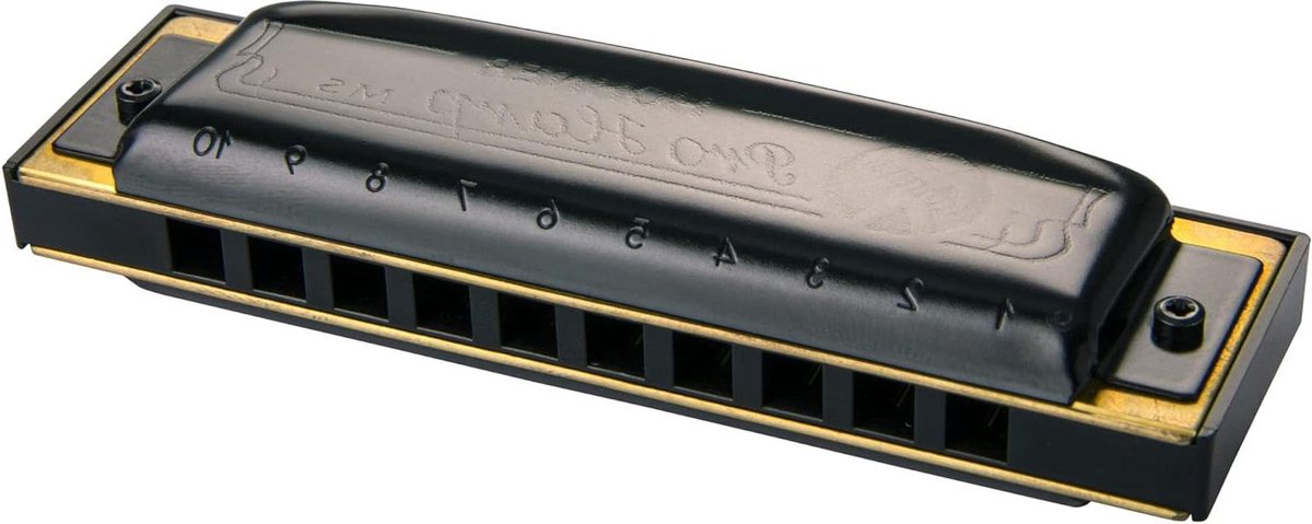Pro Harp D mondharmonica - M564036X Model met professionele eigenschappen