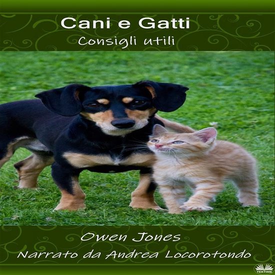 Cani E Gatti - cover