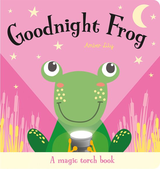 Magic Torch Books- Goodnight Frog