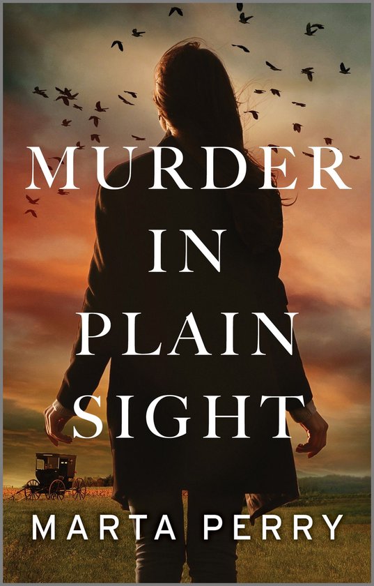 Brotherhood of the Raven 1 - Murder in Plain Sight - cover