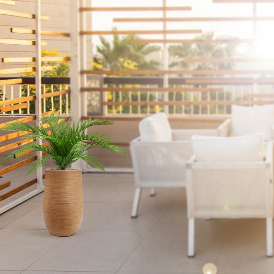 Maxifleur - Bouquet de Fougère Alsophilla Maxifleur 60 cm UV