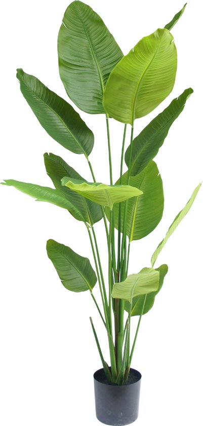 Kunstplant Strelitzia 180 cm | bol