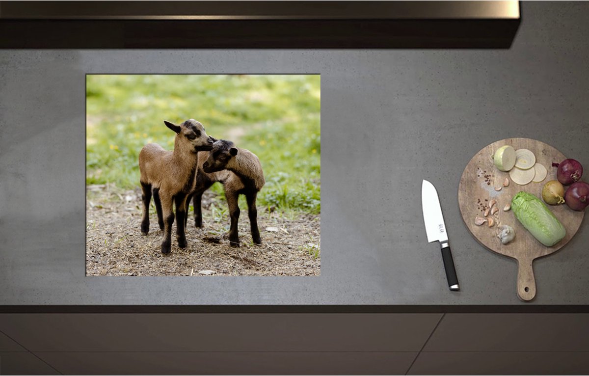Inductieplaat Beschermer - Bruin met Zwarte Kussende Lammetjes - 60x52 cm - 2 mm Dik - Inductie Beschermer - Bescherming Inductiekookplaat - Kookplaat Beschermer van Zwart Vinyl
