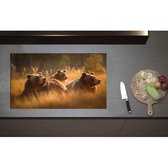 Inductieplaat Beschermer - Bruine beren in bruin gekleurd hoog gras - 85x50 cm - 2 mm Dik - Inductie Beschermer - Bescherming Inductiekookplaat - Kookplaat Beschermer van Zwart Vinyl