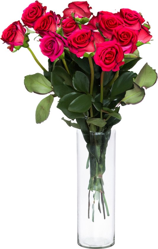 Cepewa Bloemenvaas Cylinder - helder transparant - glas - 15 x 40 cm - hand geblazen glas