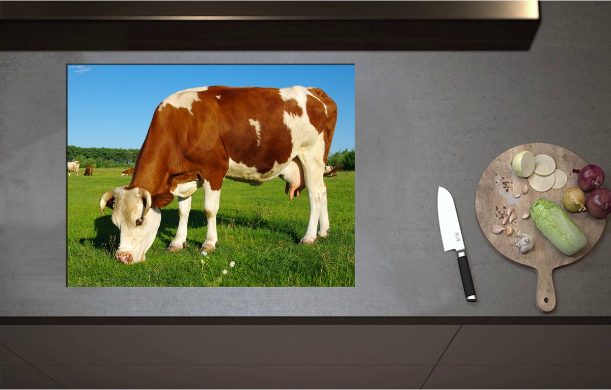 Inductieplaat Beschermer - Bruin met Wit Gevlekte Koe in de Wei - 71x55 cm - 2 mm Dik - Inductie Beschermer - Bescherming Inductiekookplaat - Kookplaat Beschermer van Wit Vinyl