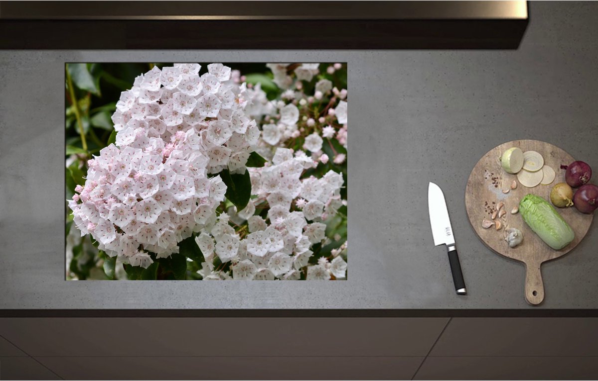 Inductieplaat Beschermer - Breedbladige lepelboom bloemen wit en roze gekleurd - 71x55 cm - 2 mm Dik - Inductie Beschermer - Bescherming Inductiekookplaat - Kookplaat Beschermer van Zwart Vinyl