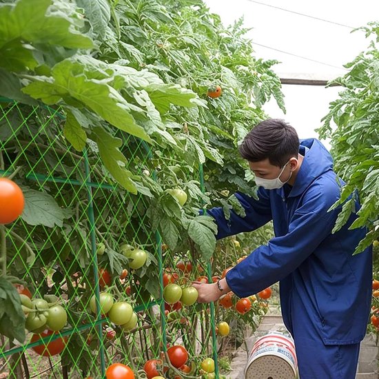 Tuin Trellis 2M x 100M Plant Support Mesh Plant Klimmen Zijtakken Erwten, Runner Bonen, Komkommers, Pompoenen, Courgette, Tomaten, Zoete Erwten Ondersteuning Groei